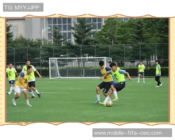 激情与荣耀在绿茵场上交织足球比赛的魅力与团队精神的完美展现